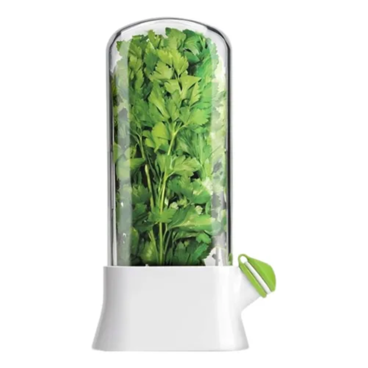 Recipiente Almacenamiento Para Verduras y Hierbas Frescas