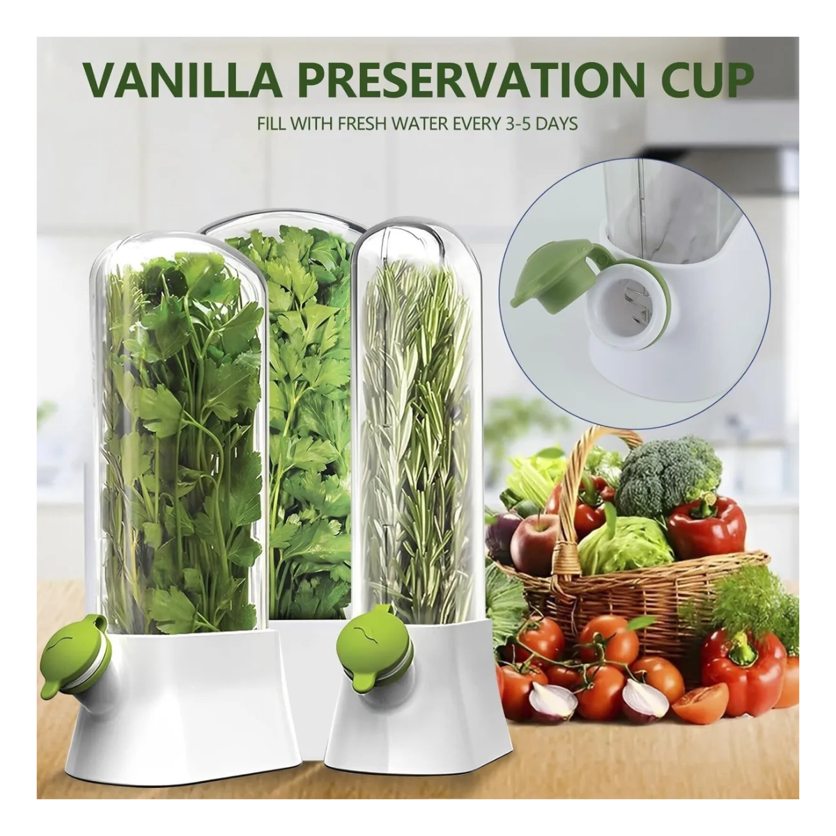 Recipiente Almacenamiento Para Verduras y Hierbas Frescas