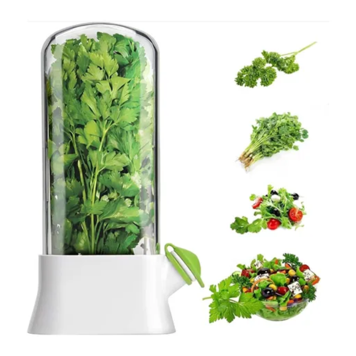 Recipiente Almacenamiento Para Verduras y Hierbas Frescas
