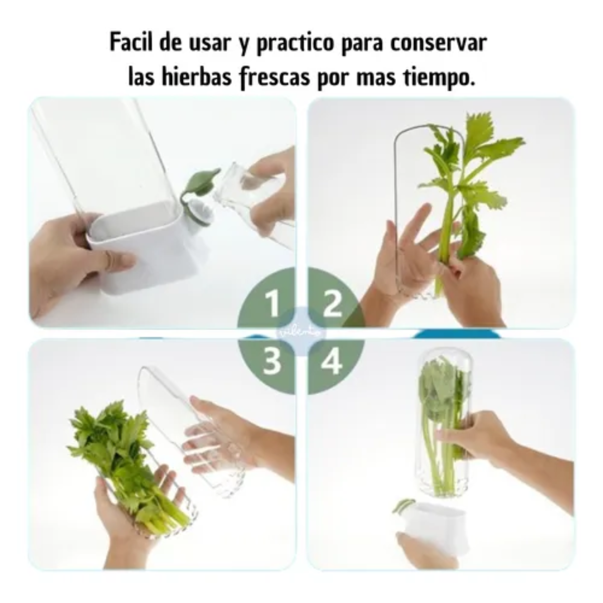 Recipiente Almacenamiento Para Verduras y Hierbas Frescas